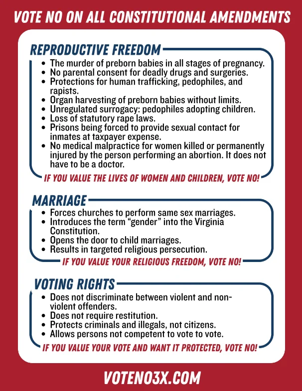 Vote No 3x Flyer