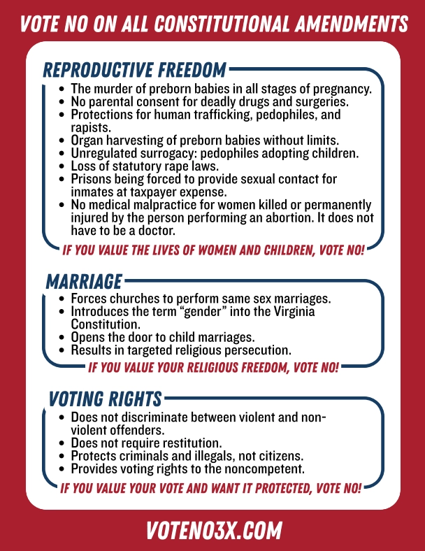 Vote No 3x Flyer Updated